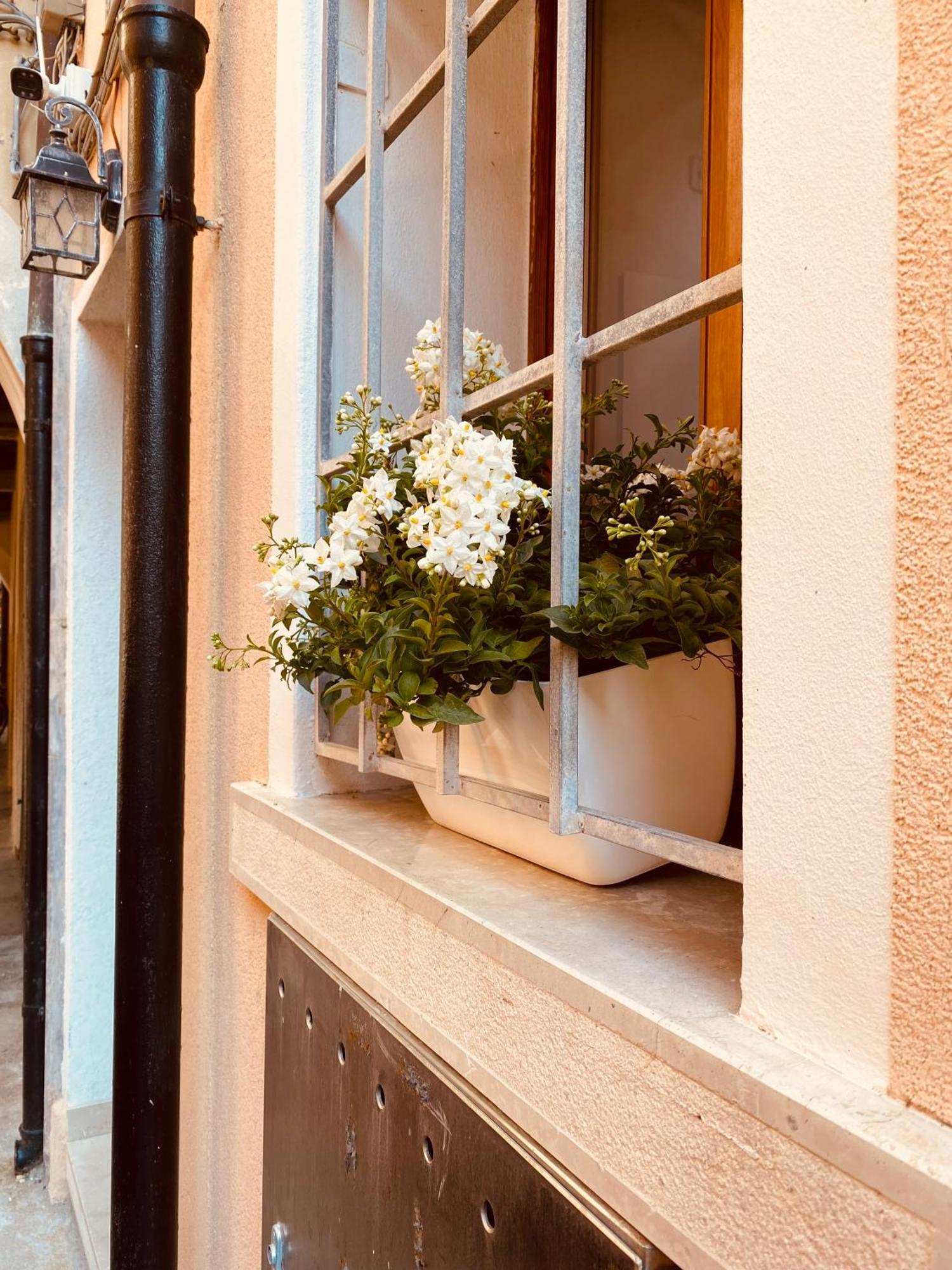 Casabella Chioggia Casa Indipendente Con Corte Exterior foto